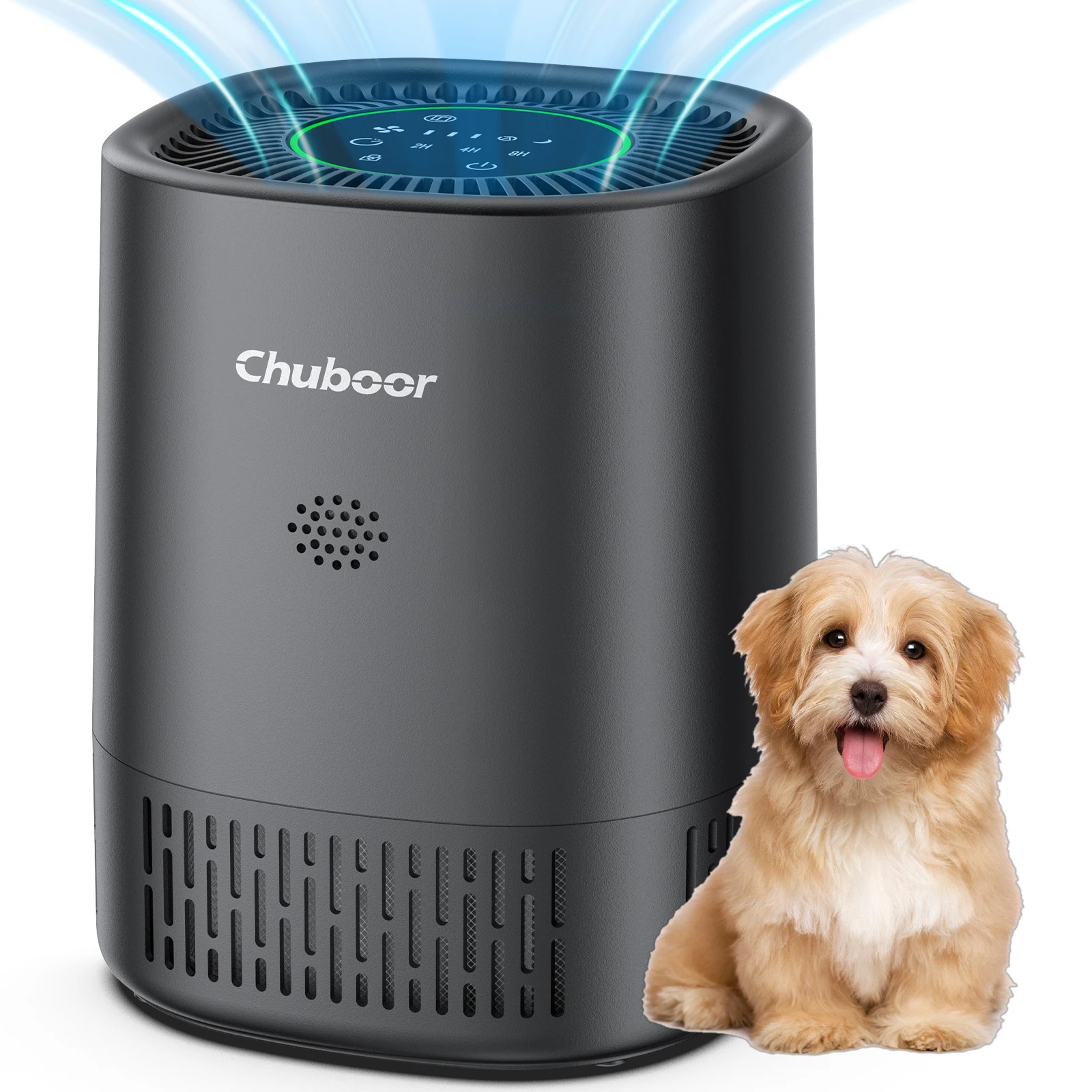 Air Purifiers For Allergies - Image 5