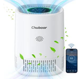 Air Purifiers For Allergies