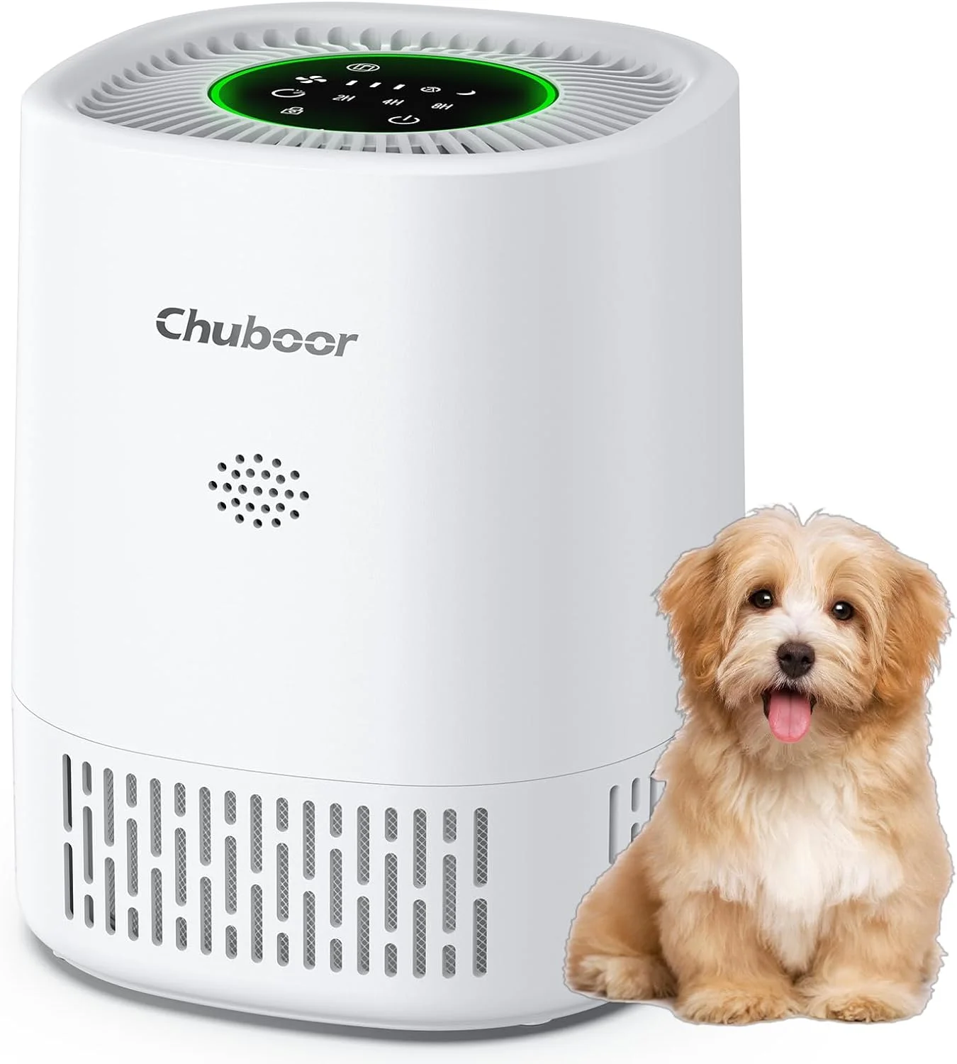 Air Purifiers For Allergies - Image 4
